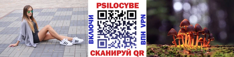 Псилоцибиновые грибы мицелий  магазин продажи   Покачи 